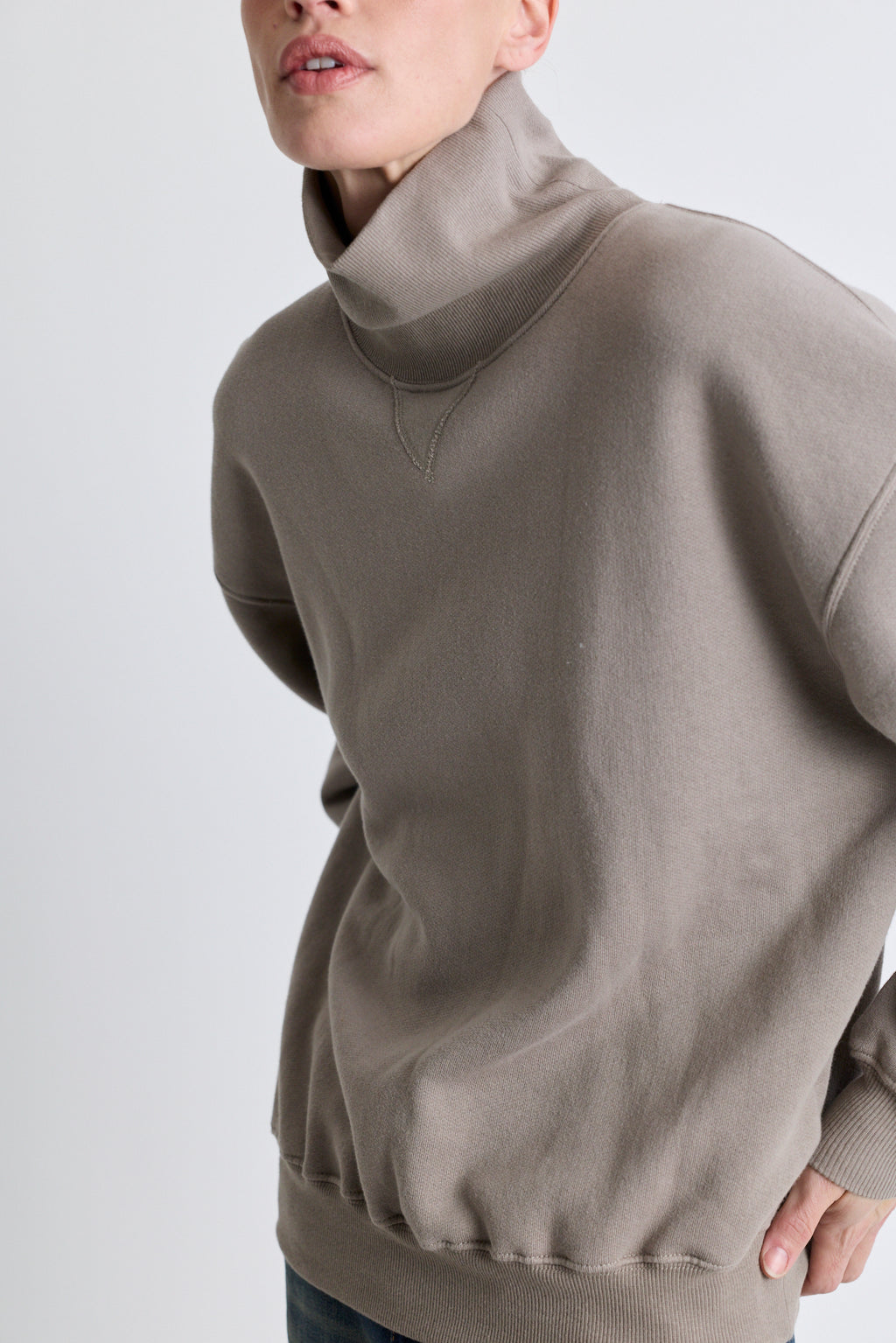 Turtleneck Deb Sweatshirt - Dove