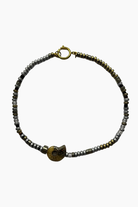 Fossil Ammonite Necklace