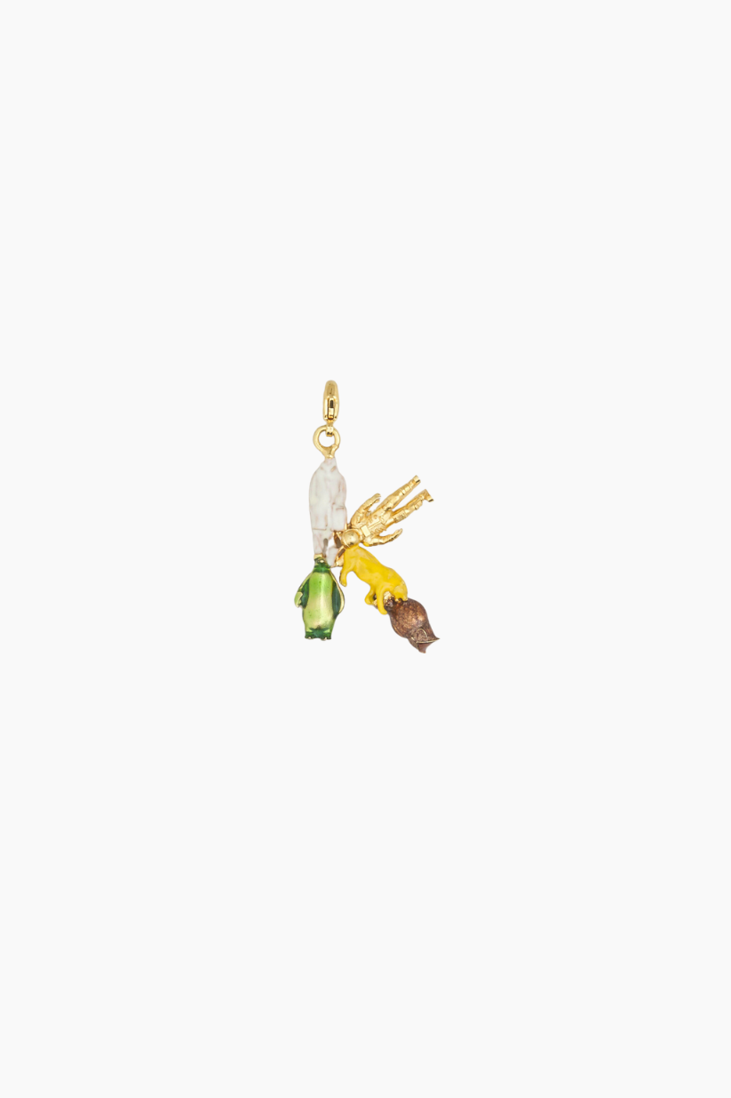 Alphabet Charm (Multiple Letters)