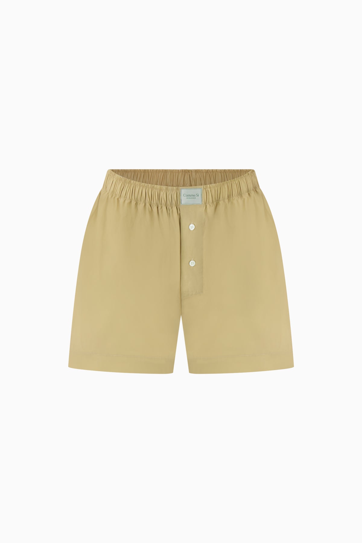 Boxer - Camel