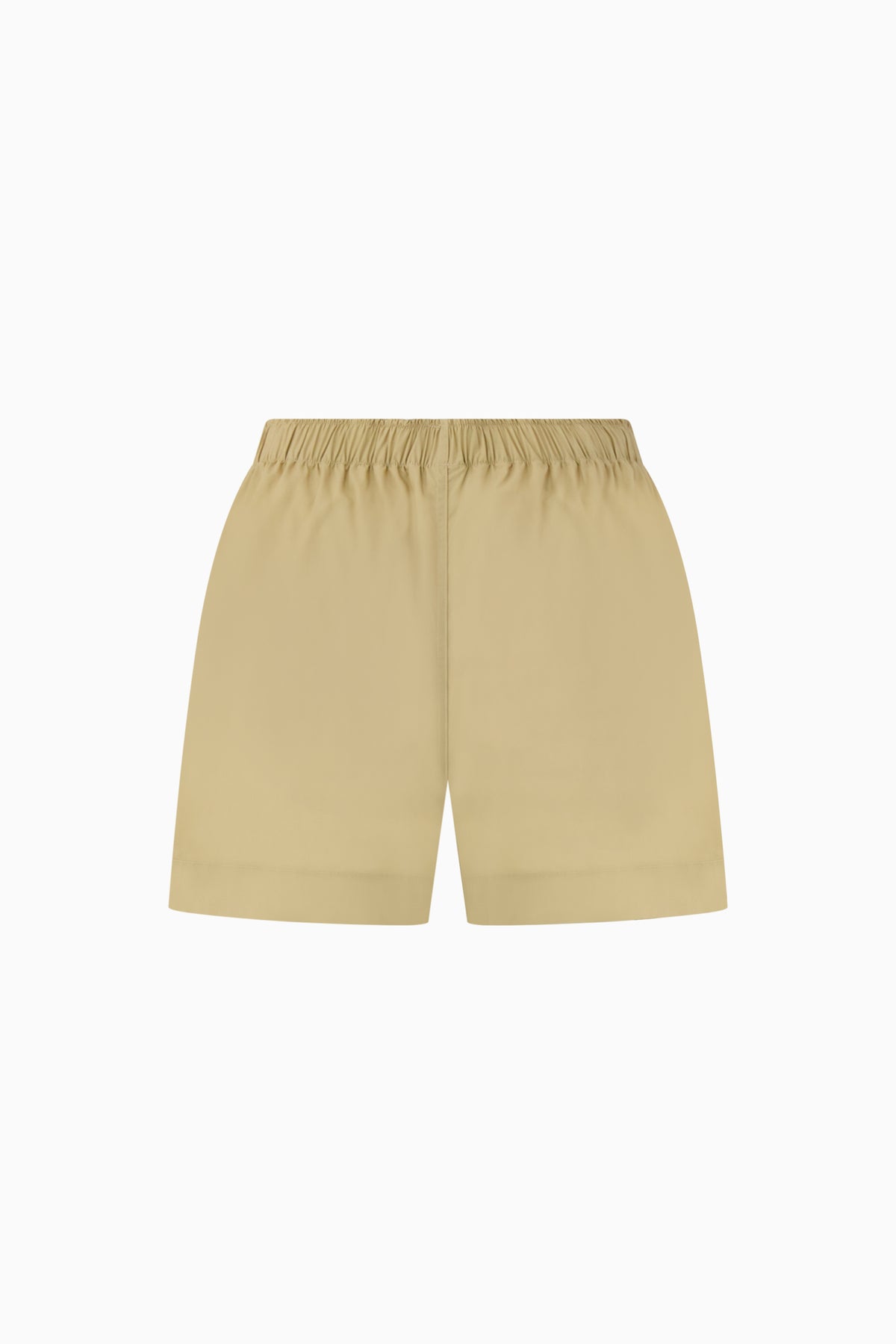 Boxer - Camel