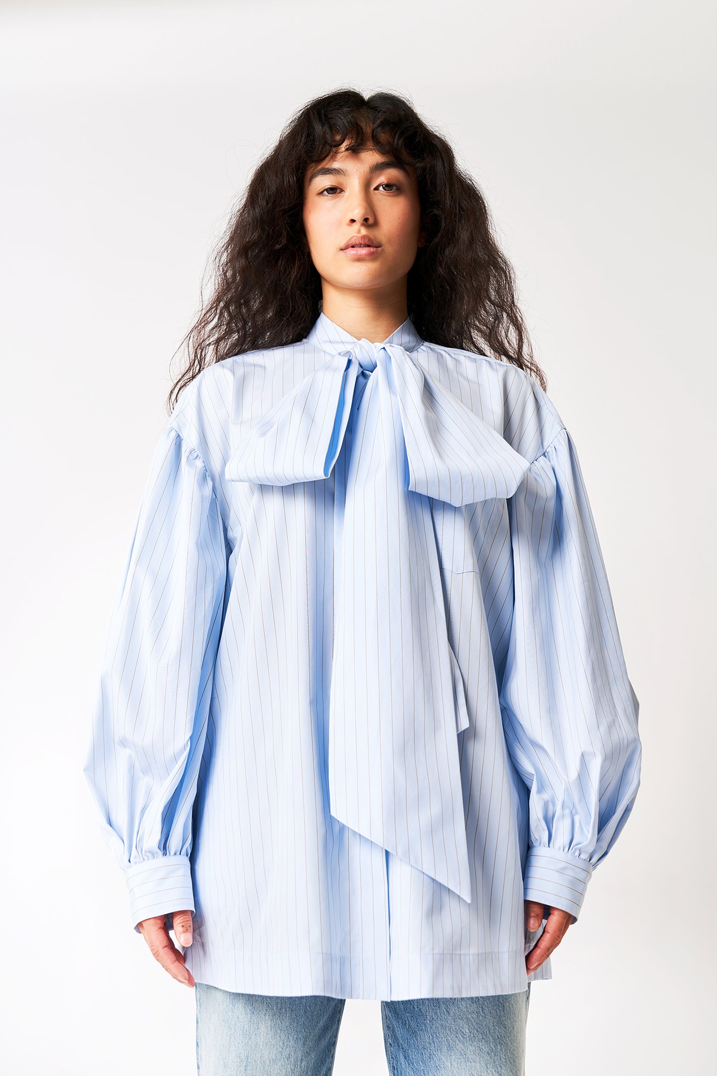 Puff Sleeve Shirt with Front Neck Bow