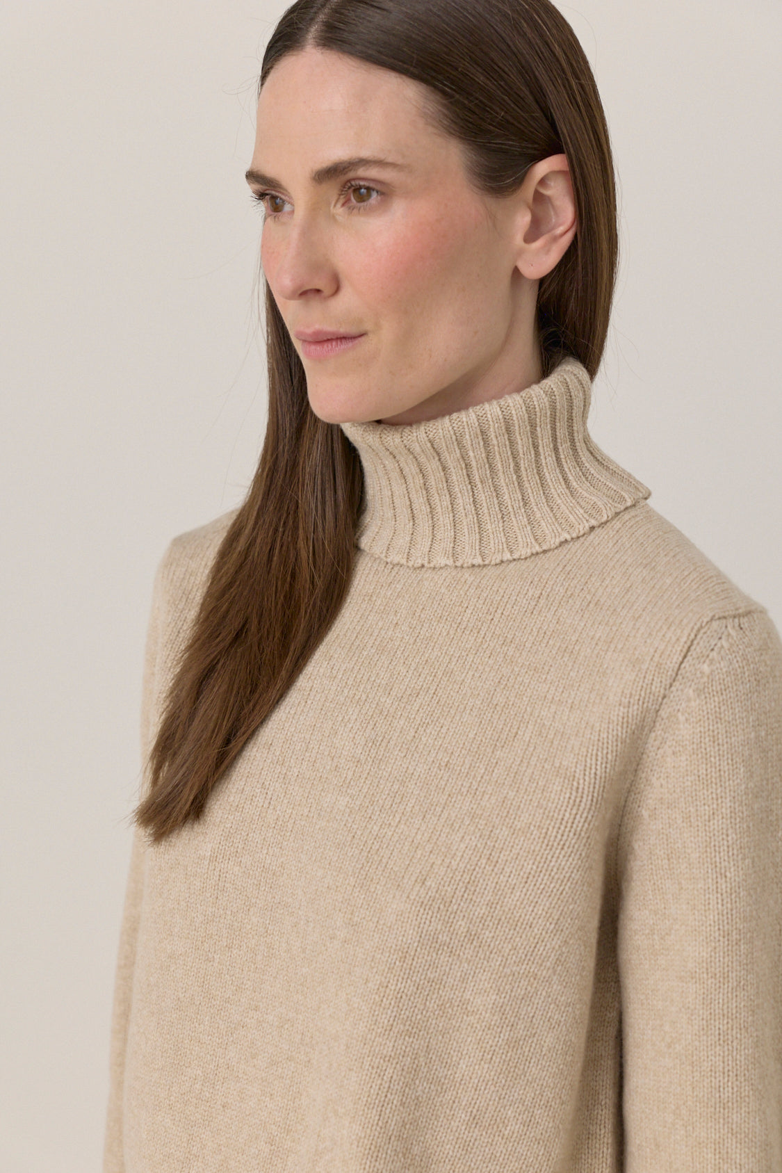 Lofty Clark Turtleneck