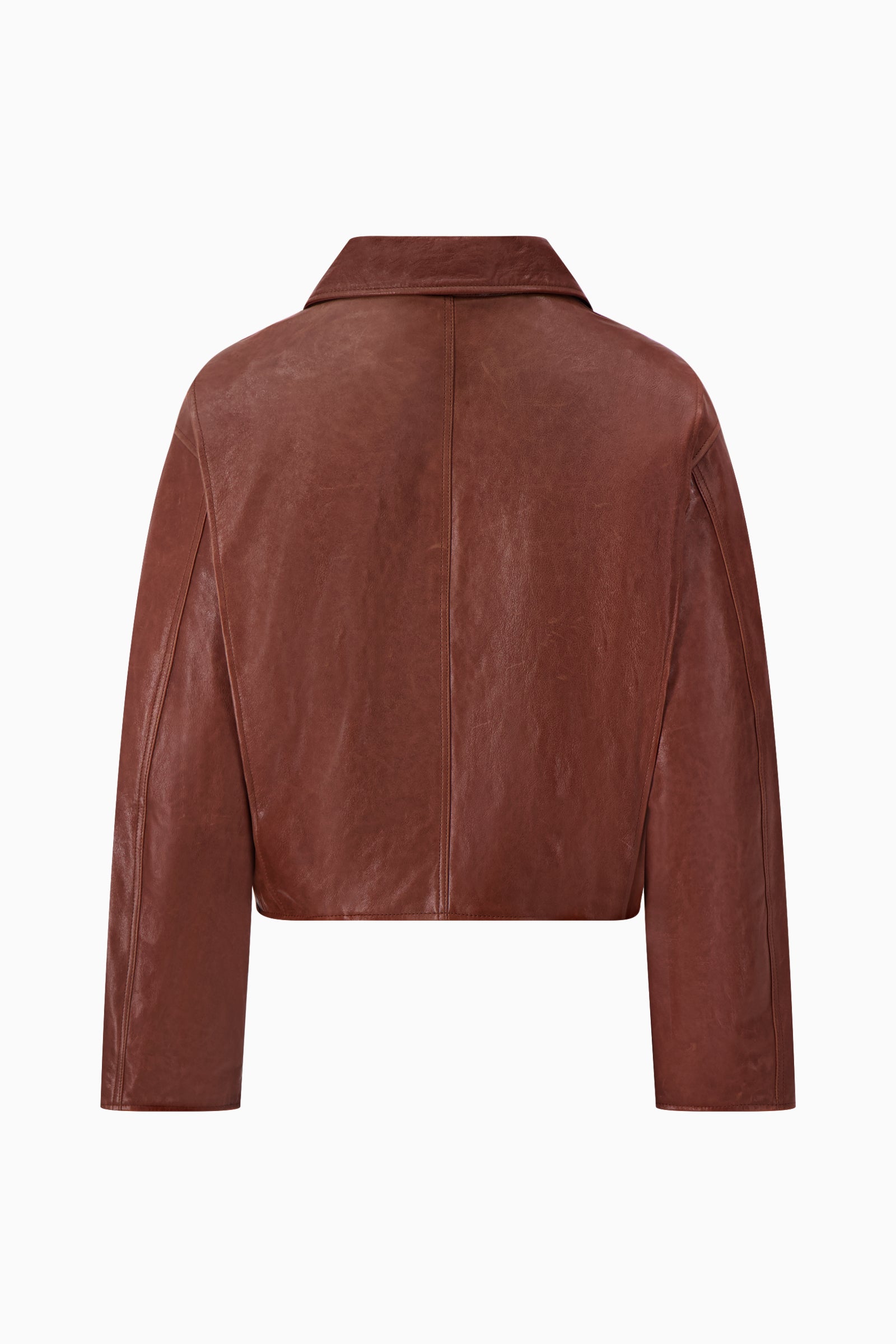 Bomber Jacket w/ Action Back
