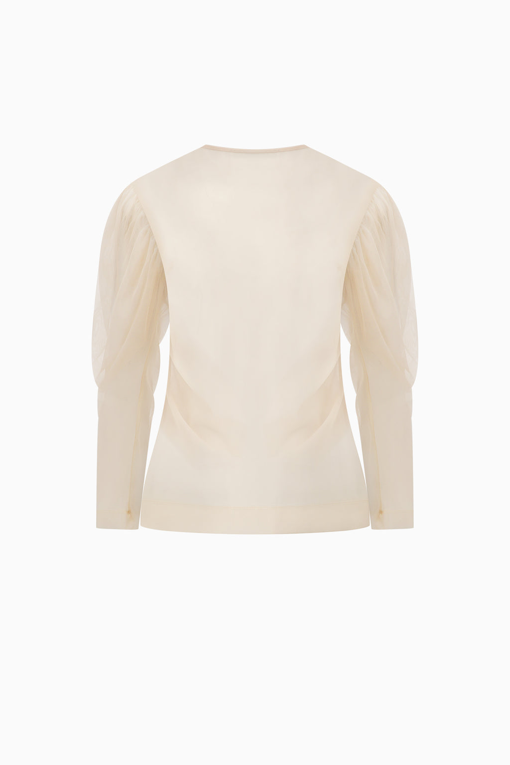 Sheer Draped Sleeve Top
