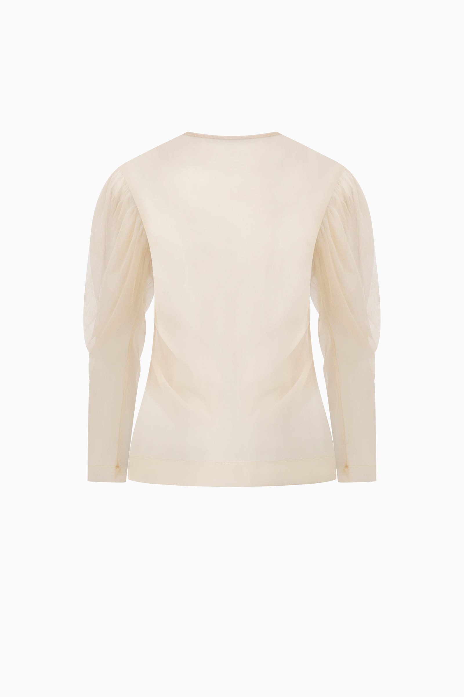 Sheer Draped Sleeve Top