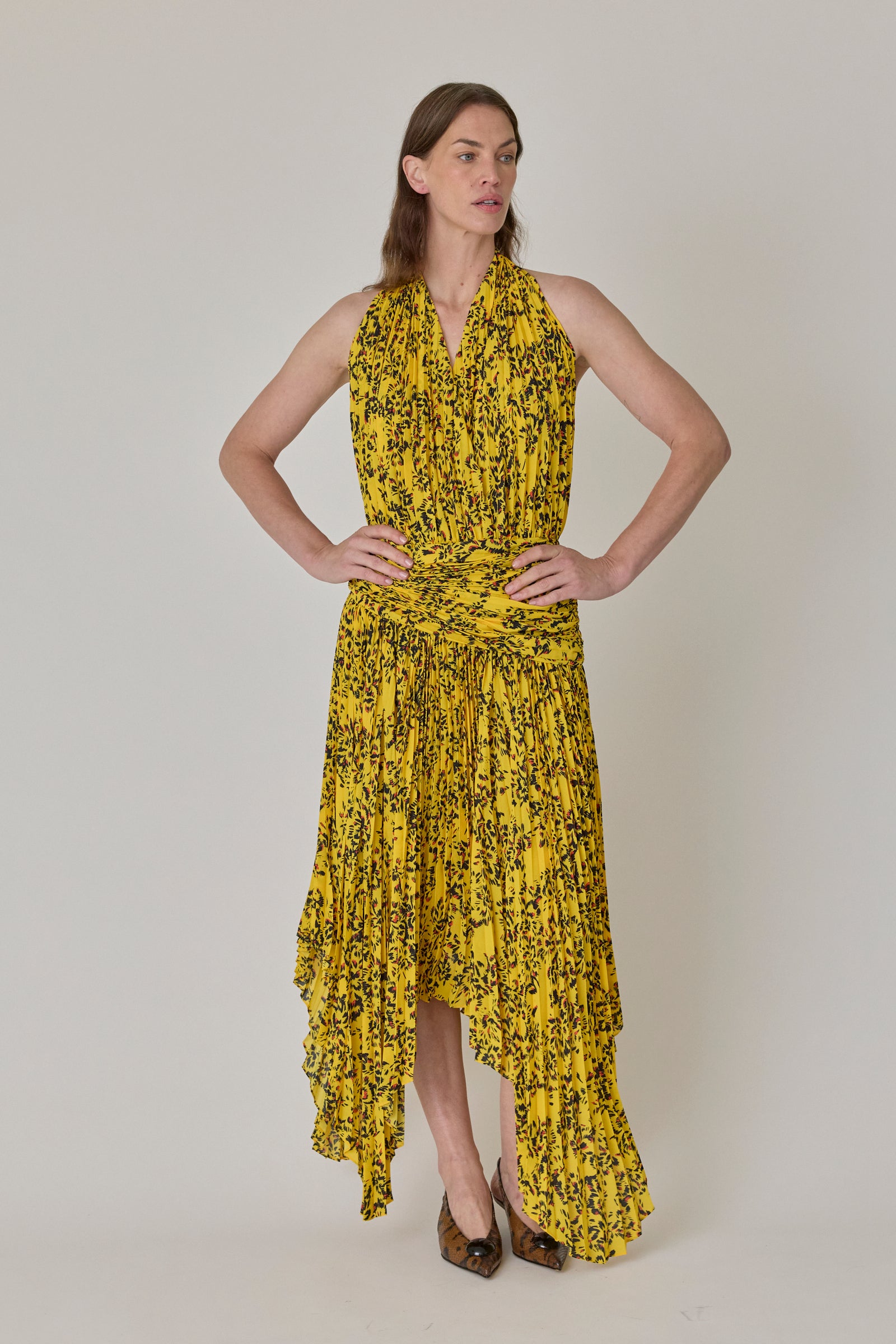 Paulina Dress